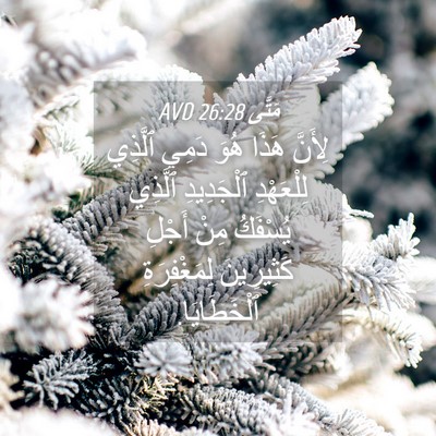 Picture 04 - مَتَّى 26:28 AVD - لِأَنَّ هَذَا هُوَ دَمِي - Bible Verse Picture
