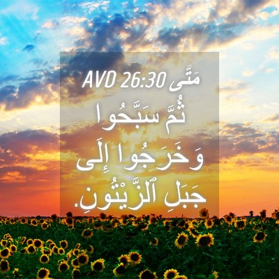 Picture 04 - مَتَّى 26:30 AVD - ثُمَّ سَبَّحُوا - Bible Verse Picture