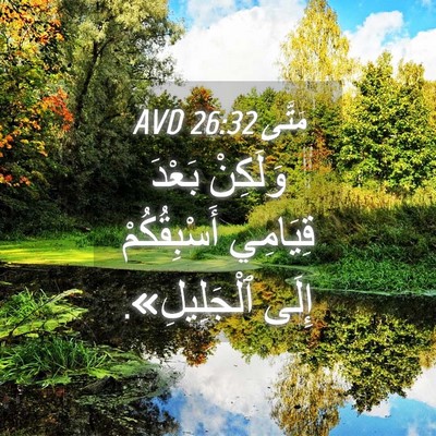Picture 04 - مَتَّى 26:32 AVD - وَلَكِنْ بَعْدَ قِيَامِي - Bible Verse Picture