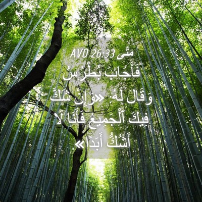 Picture 04 - مَتَّى 26:33 AVD - فَأَجَابَ بُطْرُسُ - Bible Verse Picture