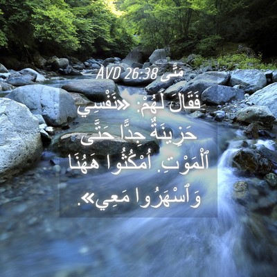 Picture 04 - مَتَّى 26:38 AVD - فَقَالَ لَهُمْ: «نَفْسِي - Bible Verse Picture