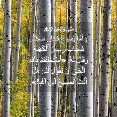 Picture 04 - مَتَّى 26:63 AVD - وَأَمَّا يَسُوعُ فَكَانَ - Bible Verse Picture