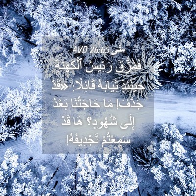 Picture 04 - مَتَّى 26:65 AVD - فَمَزَّقَ رَئِيسُ - Bible Verse Picture