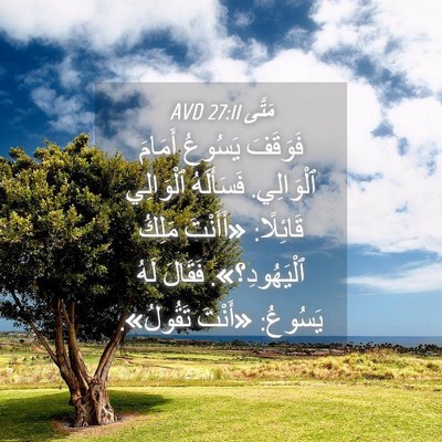Picture 04 - مَتَّى 27:11 AVD - فَوَقَفَ يَسُوعُ أَمَامَ - Bible Verse Picture
