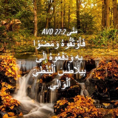 Picture 04 - مَتَّى 27:2 AVD - فَأَوْثَقُوهُ وَمَضَوْا - Bible Verse Picture