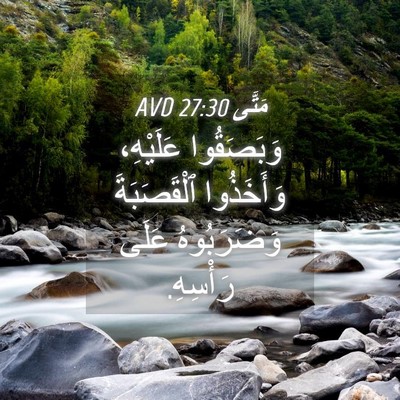 Picture 04 - مَتَّى 27:30 AVD - وَبَصَقُوا عَلَيْهِ، - Bible Verse Picture