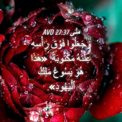 Picture 04 - مَتَّى 27:37 AVD - وَجَعَلُوا فَوْقَ - Bible Verse Picture