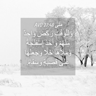 Picture 04 - مَتَّى 27:48 AVD - وَلِلْوَقْتِ رَكَضَ - Bible Verse Picture