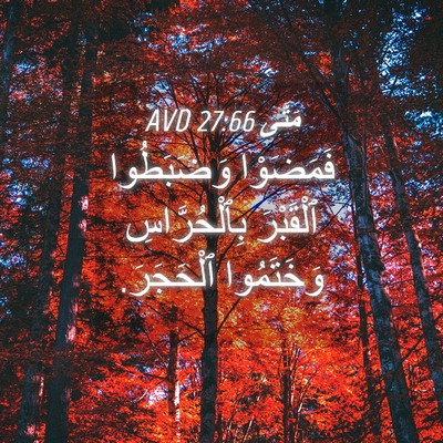 Picture 04 - مَتَّى 27:66 AVD - فَمَضَوْا وَضَبَطُوا - Bible Verse Picture