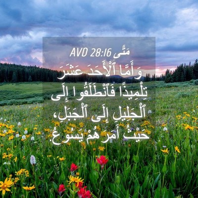Picture 04 - مَتَّى 28:16 AVD - وَأَمَّا ٱلْأَحَدَ عَشَرَ - Bible Verse Picture