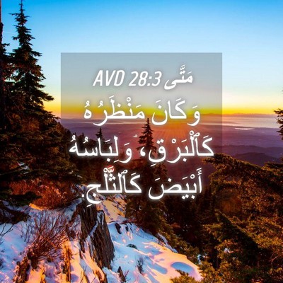 Picture 04 - مَتَّى 28:3 AVD - وَكَانَ مَنْظَرُهُ - Bible Verse Picture