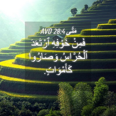 Picture 04 - مَتَّى 28:4 AVD - فَمِنْ خَوْفِهِ ٱرْتَعَدَ - Bible Verse Picture