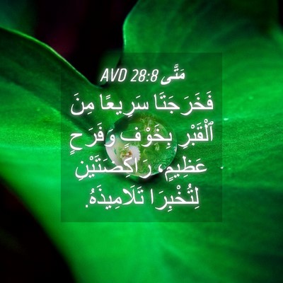 Picture 04 - مَتَّى 28:8 AVD - فَخَرَجَتَا سَرِيعًا مِنَ - Bible Verse Picture