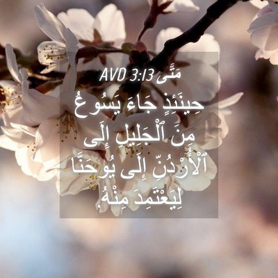 Picture 04 - مَتَّى 3:13 AVD - حِينَئِذٍ جَاءَ يَسُوعُ - Bible Verse Picture