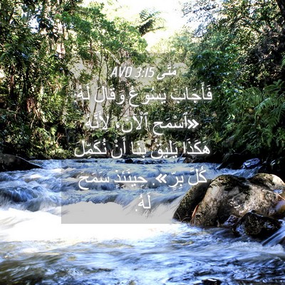 Picture 04 - مَتَّى 3:15 AVD - فَأَجَابَ يَسُوعُ وَقَالَ - Bible Verse Picture