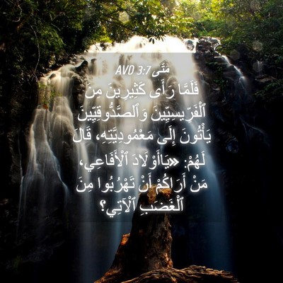 Picture 04 - مَتَّى 3:7 AVD - فَلَمَّا رَأَى كَثِيرِينَ - Bible Verse Picture