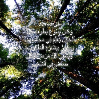 Picture 04 - مَتَّى 4:23 AVD - وَكَانَ يَسُوعُ يَطُوفُ - Bible Verse Picture