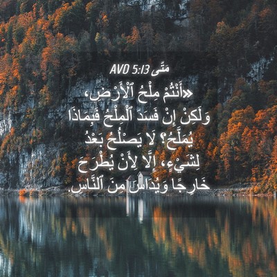 Picture 04 - مَتَّى 5:13 AVD - «أَنْتُمْ مِلْحُ - Bible Verse Picture