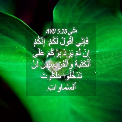 Picture 04 - مَتَّى 5:20 AVD - فَإِنِّي أَقُولُ لَكُمْ: - Bible Verse Picture