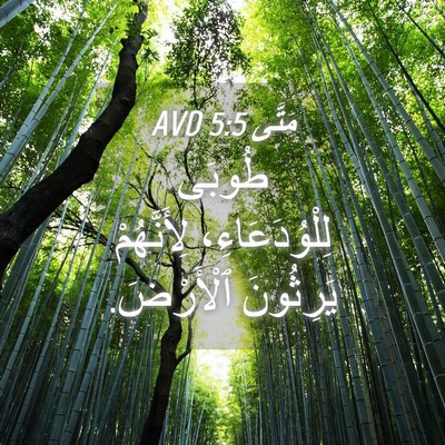 Picture 04 - مَتَّى 5:5 AVD - طُوبَى لِلْوُدَعَاءِ، - Bible Verse Picture