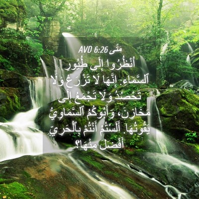 Picture 04 - مَتَّى 6:26 AVD - اُنْظُرُوا إِلَى طُيُورِ - Bible Verse Picture