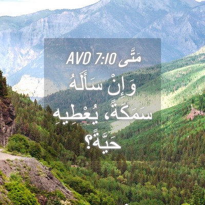 Picture 04 - مَتَّى 7:10 AVD - وَإِنْ سَأَلَهُ سَمَكَةً، - Bible Verse Picture