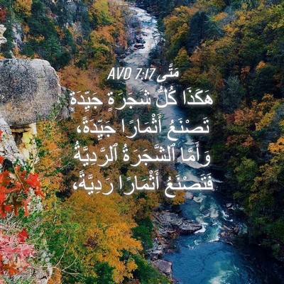 Picture 04 - مَتَّى 7:17 AVD - هَكَذَا كُلُّ شَجَرَةٍ - Bible Verse Picture