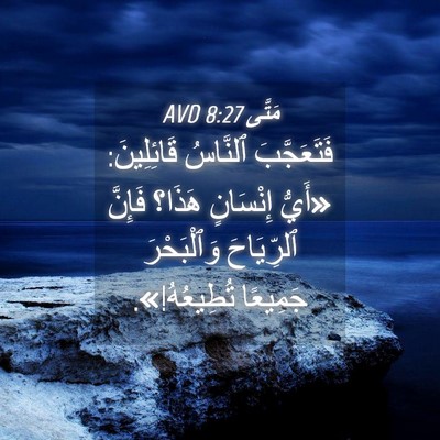 Picture 04 - مَتَّى 8:27 AVD - فَتَعَجَّبَ ٱلنَّاسُ - Bible Verse Picture