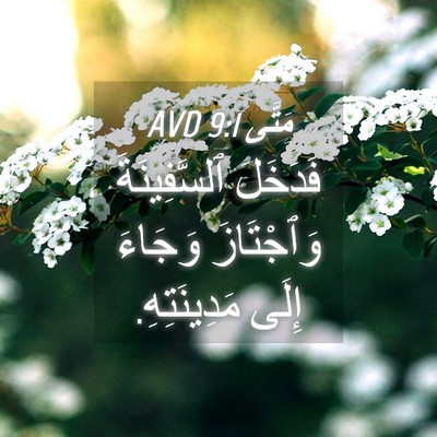 Picture 04 - مَتَّى 9:1 AVD - فَدَخَلَ ٱلسَّفِينَةَ - Bible Verse Picture
