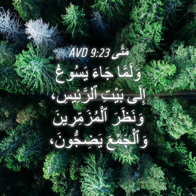 Picture 04 - مَتَّى 9:23 AVD - وَلَمَّا جَاءَ يَسُوعُ - Bible Verse Picture