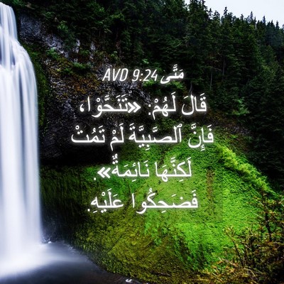 Picture 04 - مَتَّى 9:24 AVD - قَالَ لَهُمْ: «تَنَحَّوْا، - Bible Verse Picture