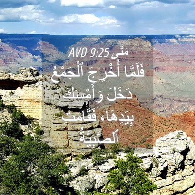 Picture 04 - مَتَّى 9:25 AVD - فَلَمَّا أُخْرِجَ - Bible Verse Picture