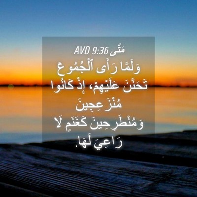 Picture 04 - مَتَّى 9:36 AVD - وَلَمَّا رَأَى ٱلْجُمُوعَ - Bible Verse Picture