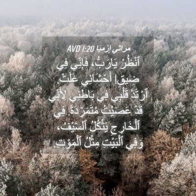 Picture 04 - مَرَاثِي إِرْمِيَا 1:20 AVD - ٱنْظُرْ يَارَبُّ، - Bible Verse Picture