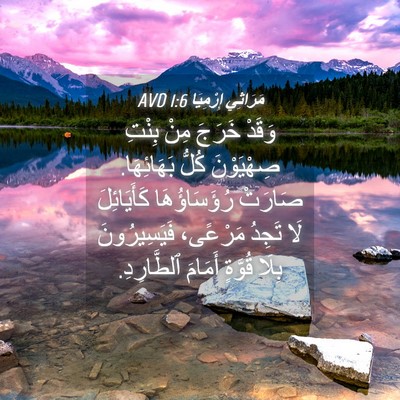 Picture 04 - مَرَاثِي إِرْمِيَا 1:6 AVD - وَقَدْ خَرَجَ مِنْ بِنْتِ - Bible Verse Picture