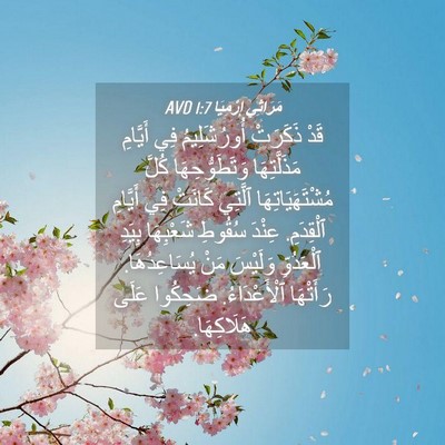 Picture 04 - مَرَاثِي إِرْمِيَا 1:7 AVD - قَدْ ذَكَرَتْ - Bible Verse Picture