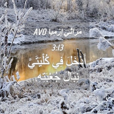 Picture 04 - مَرَاثِي إِرْمِيَا 3:13 AVD - أَدْخَلَ فِي كُلْيَتَيَّ - Bible Verse Picture