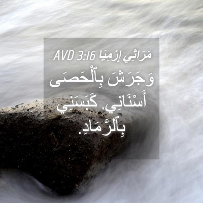 Picture 04 - مَرَاثِي إِرْمِيَا 3:16 AVD - وَجَرَشَ بِٱلْحَصَى - Bible Verse Picture