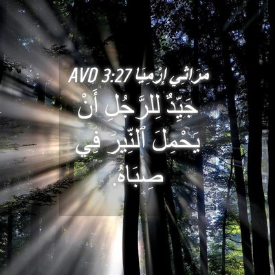 Picture 04 - مَرَاثِي إِرْمِيَا 3:27 AVD - جَيِّدٌ لِلرَّجُلِ أَنْ - Bible Verse Picture