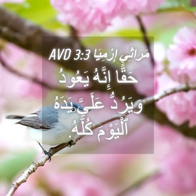 Picture 04 - مَرَاثِي إِرْمِيَا 3:3 AVD - حَقًّا إِنَّهُ يَعُودُ - Bible Verse Picture