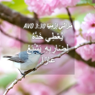 Picture 04 - مَرَاثِي إِرْمِيَا 3:30 AVD - يُعْطِي خَدَّهُ - Bible Verse Picture