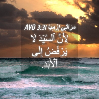 Picture 04 - مَرَاثِي إِرْمِيَا 3:31 AVD - لِأَنَّ ٱلسَّيِّدَ لَا - Bible Verse Picture