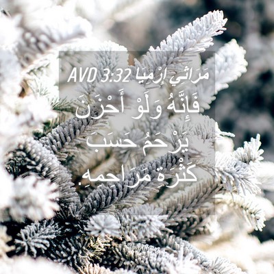 Picture 04 - مَرَاثِي إِرْمِيَا 3:32 AVD - فَإِنَّهُ وَلَوْ أَحْزَنَ - Bible Verse Picture