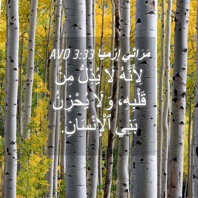 Picture 04 - مَرَاثِي إِرْمِيَا 3:33 AVD - لِأَنَّهُ لَا يُذِلُّ مِنْ - Bible Verse Picture