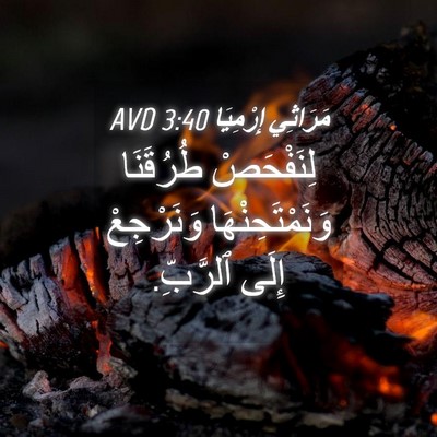 Picture 04 - مَرَاثِي إِرْمِيَا 3:40 AVD - لِنَفْحَصْ طُرُقَنَا - Bible Verse Picture