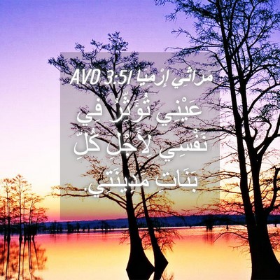 Picture 04 - مَرَاثِي إِرْمِيَا 3:51 AVD - عَيْنِي تُؤَثِّرُ فِي - Bible Verse Picture
