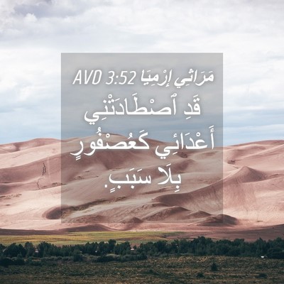 Picture 04 - مَرَاثِي إِرْمِيَا 3:52 AVD - قَدِ ٱصْطَادَتْنِي - Bible Verse Picture
