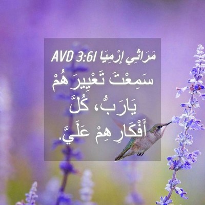 Picture 04 - مَرَاثِي إِرْمِيَا 3:61 AVD - سَمِعْتَ تَعْيِيرَهُمْ - Bible Verse Picture