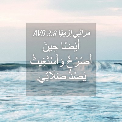 Picture 04 - مَرَاثِي إِرْمِيَا 3:8 AVD - أَيْضًا حِينَ أَصْرُخُ - Bible Verse Picture