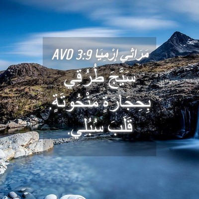 Picture 04 - مَرَاثِي إِرْمِيَا 3:9 AVD - سَيَّجَ طُرُقِي - Bible Verse Picture